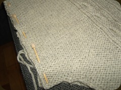 SNC12981_resize