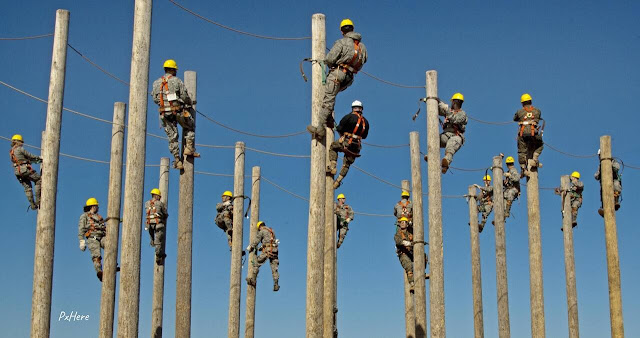 Trabalhadores em postes de electricidade.