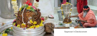 Nageswar in Darukavanam