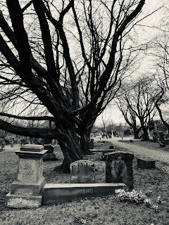 A black and white photograph showing some gravestones standing in front of a bare tree that looks almost skeletal.   Photograph by Kevin Nosferatu for the Skulferatu Project.