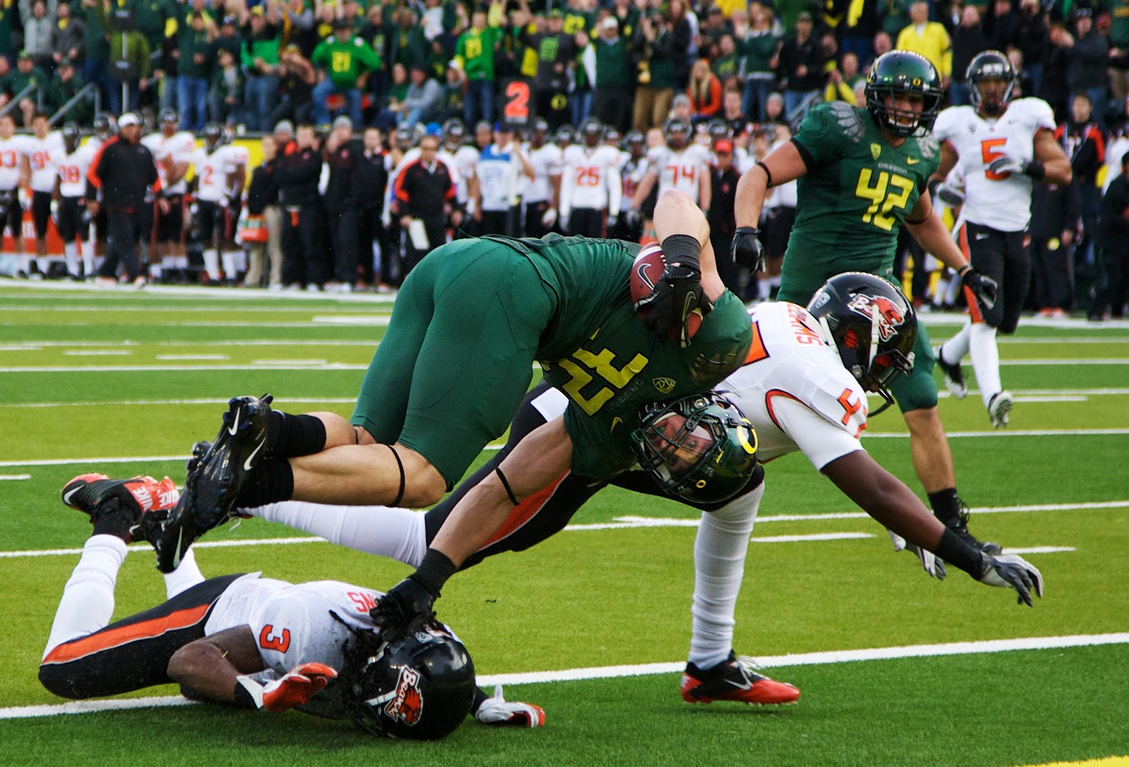 Oregon Ducks sports teams of the Oregon University | International ...