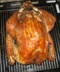 turkey
