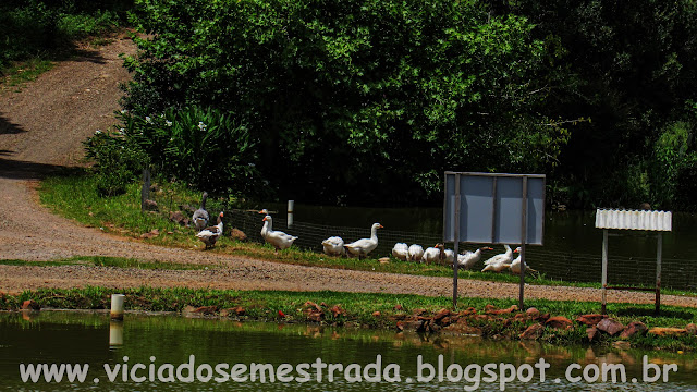 turismo em Vista Alegre do Prata, RS