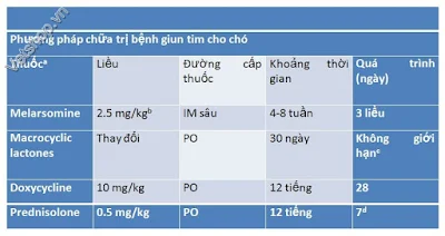 Hình 4: Thuốc và liệu trình điều trị bệnh giun tim