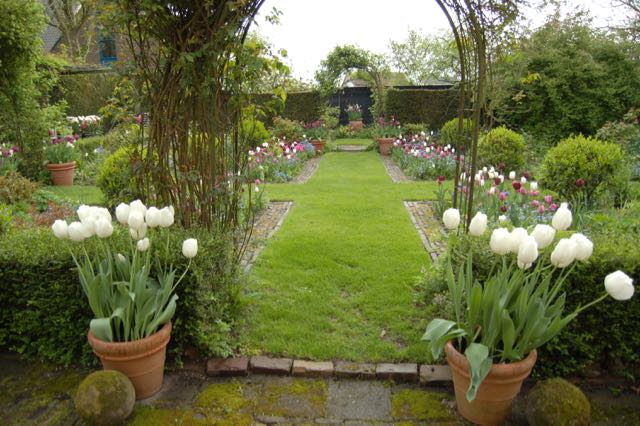 flower bulbs in containers