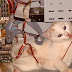 Cómo limpiar por dentro una computadora (ordenador)