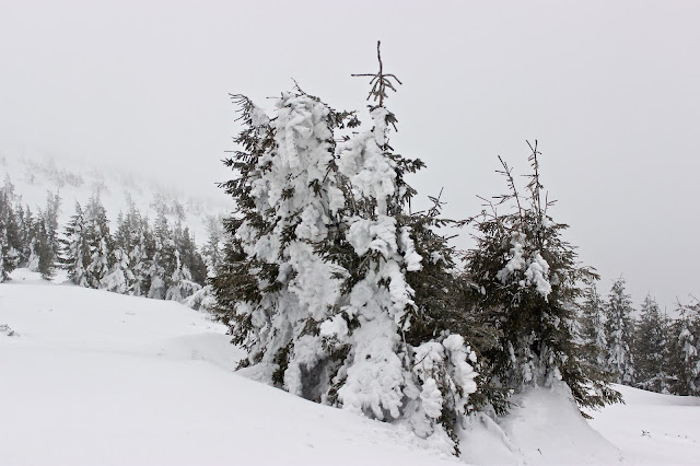 Hoverla