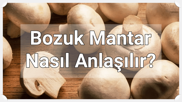 Bozuk Mantar Nasıl Anlaşılır?