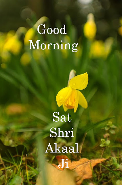Sat Shri Akaal Ji Good Morning