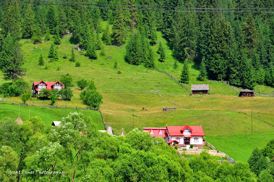 Ortoaia, Suceava, Dorna, Dorna Arini, Bucovina, Moldova, Romania,