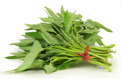 Kangkung