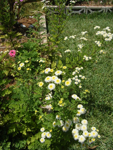 2010_06130006.JPG