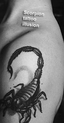 Big Scorpion Tattoo-illusion on Arm