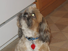 Griffin