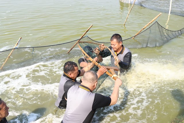Polisi Sidoarjo Panen Ikan bersama Warga di Tambak Banjarpanji