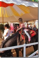 IMG_2783 IMG_2783