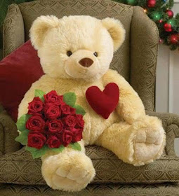 red-roses-giving-cuty-teddy-bear-pics