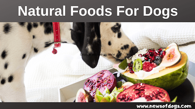 Natural Foods For Dogs - newsofdogs