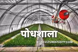 पौधशाला (plant nursery in hindi) क्या है इसके लाभ, उद्देश्य एवं उत्तम पौधशाला तैयार करने की विधियां, नर्सरी क्या है, नर्सरी को पौधशाला में कैसे तैयार