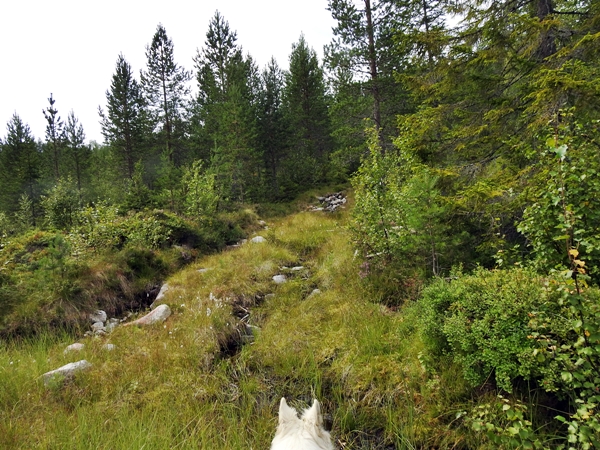 hakkemarihølet øvre kollsjøen strømsoddbygda