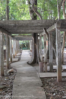 Instituto Biológico e Museu