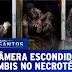 Zumbis no Necrotério (Zombies in the Morgue) _ Câmera Escondida (12_03_17)