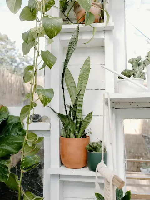 Ceramic Pots