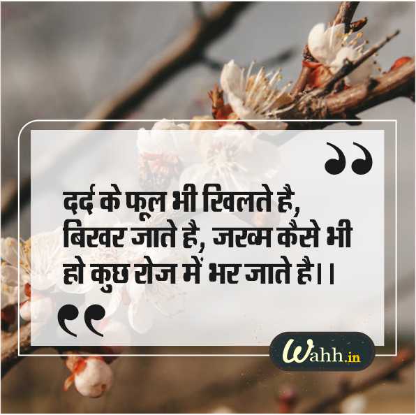 Phool Par Shayari