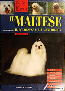 Il Maltese, il Bolognese e gli altri Bichon