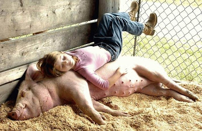 girl sleeping on pig