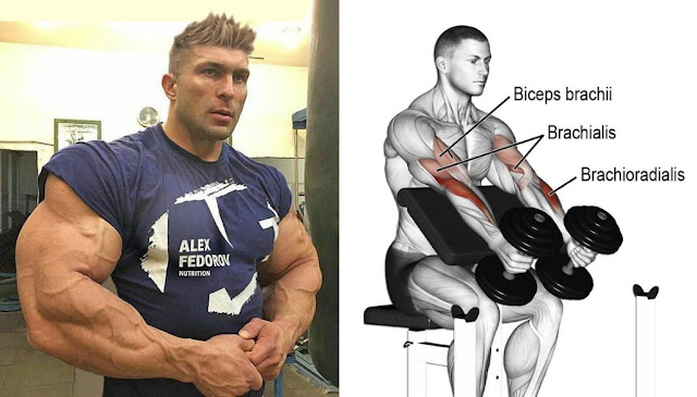 10 Best Compound Exercises For Massive And Bigger Biceps