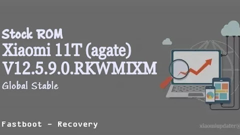 Xiaomi 11T (agate) V12.5.9.0.RKWMIXM Global Stable