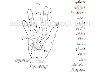 Urdu Books, Novels in Pdf, Free Pro Software with Crack, Famous ...