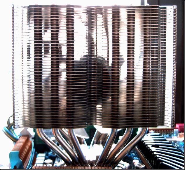 PIC02447