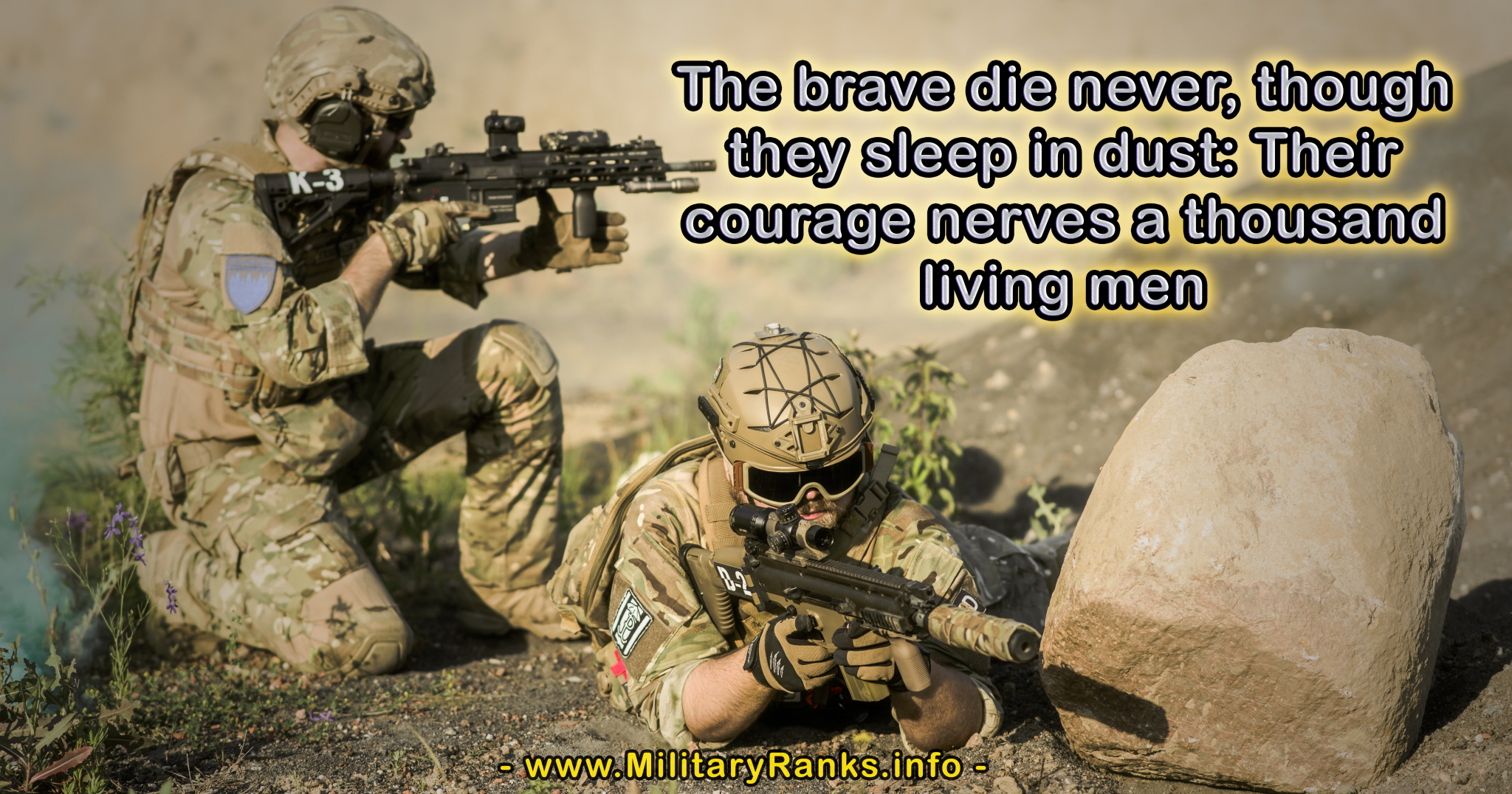 The brave die never though they sleep in dust Military Quotes