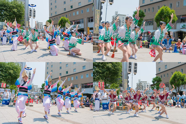 葵新連、熊本地震被災地救援募金チャリティ阿波踊りの記事のカバー写真