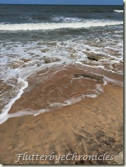IMG_2546 IMG_2546