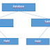 Data Structure In MySQL