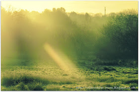 frosty winter sunshine