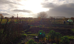 Allotment in late autumn