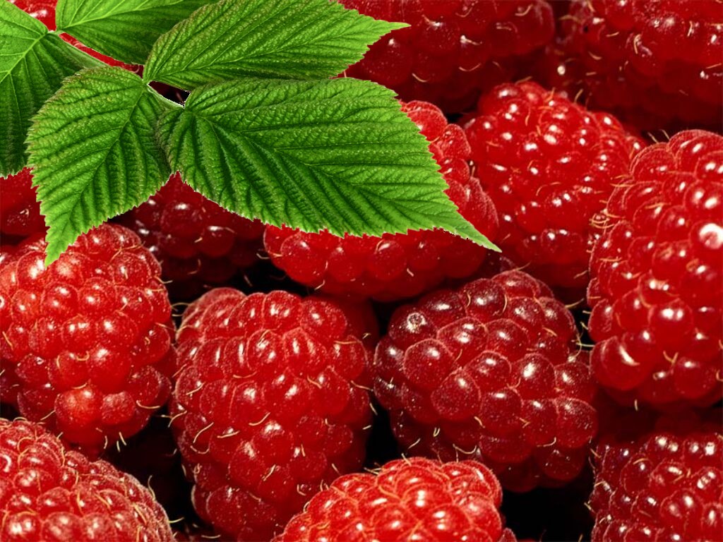 framboise