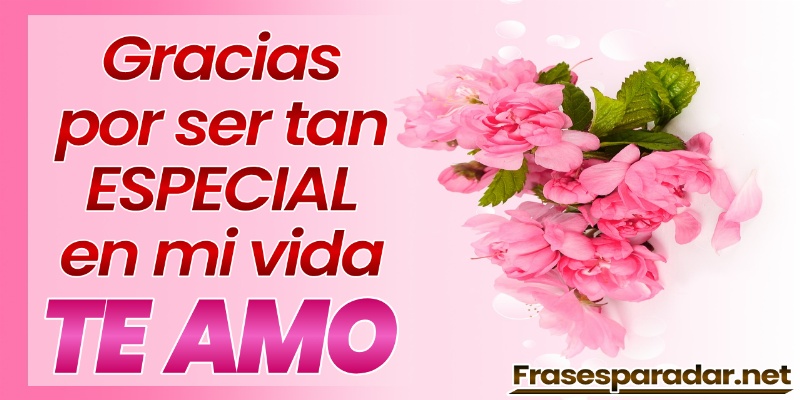 Hermosos Mensajes De Amor Para Dedicar Al Amor De Mi Vida Frases