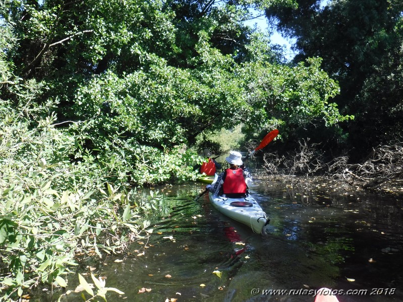 Kayak río Palmones