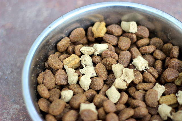 Nature's Variety Instinct Raw Freeze-Dried Dog Food