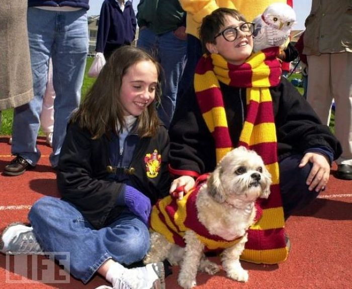 [Image: harry_potter_pets_01.jpg]