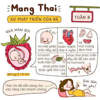 Kiến thức mang thai Tuần 8