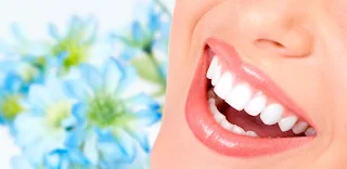 JPCN.Blog | Dentista lista 10 alimentos que ajudam a manter os dentes fortes e saudáveis