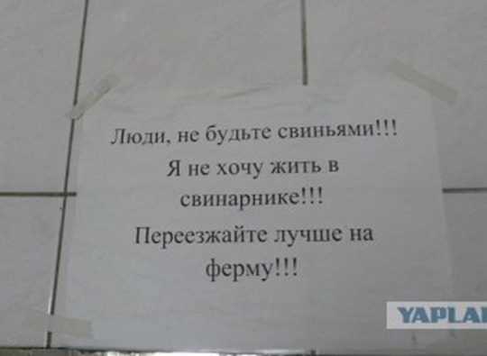 c71b8c586647b6cdf4dcd938ca8