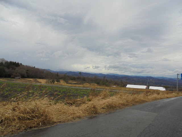 牧場の建物が見えて来ました