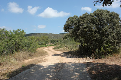 SANT JAUME DELS DOMENYS-PUIG DE LA TIULA, camí de la Plana a les terres planes del Gatell